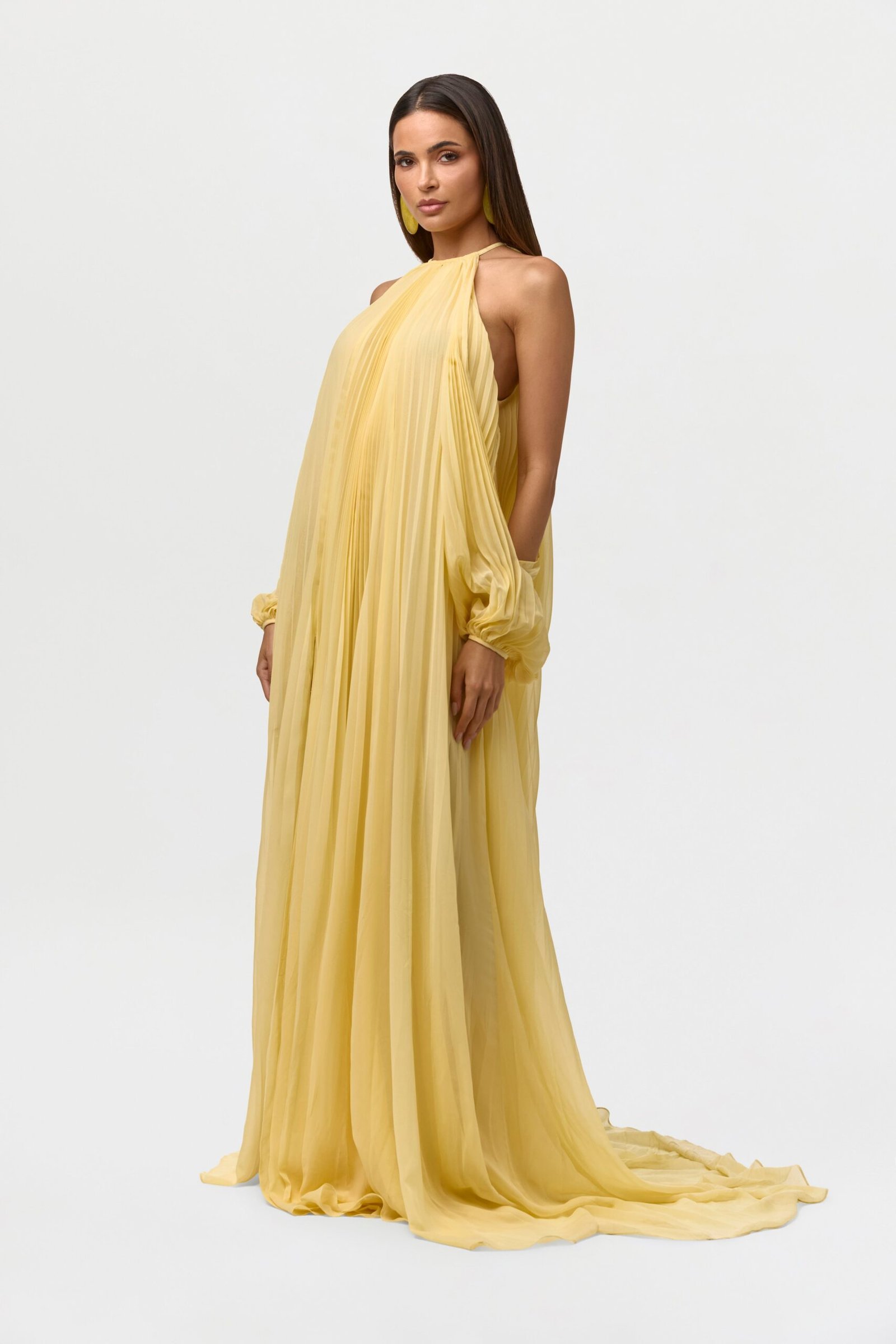 Chiffon Pleated Gown - Image 3