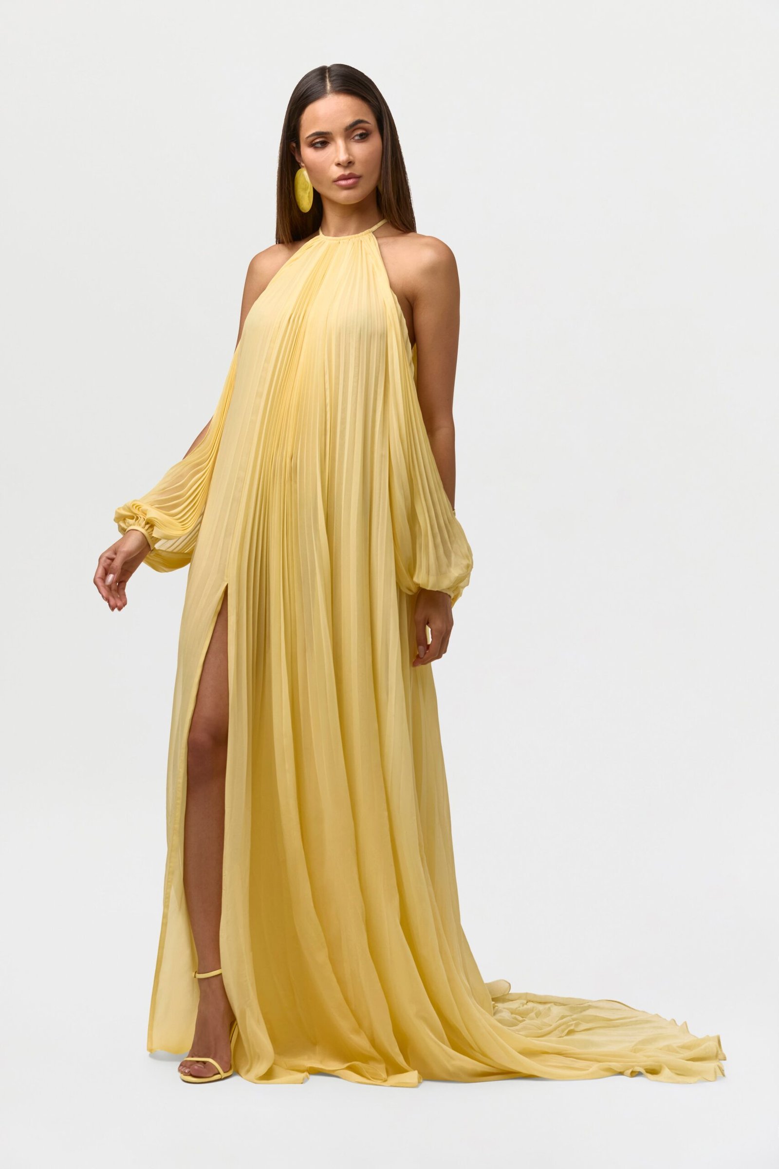 Chiffon Pleated Gown - Image 4
