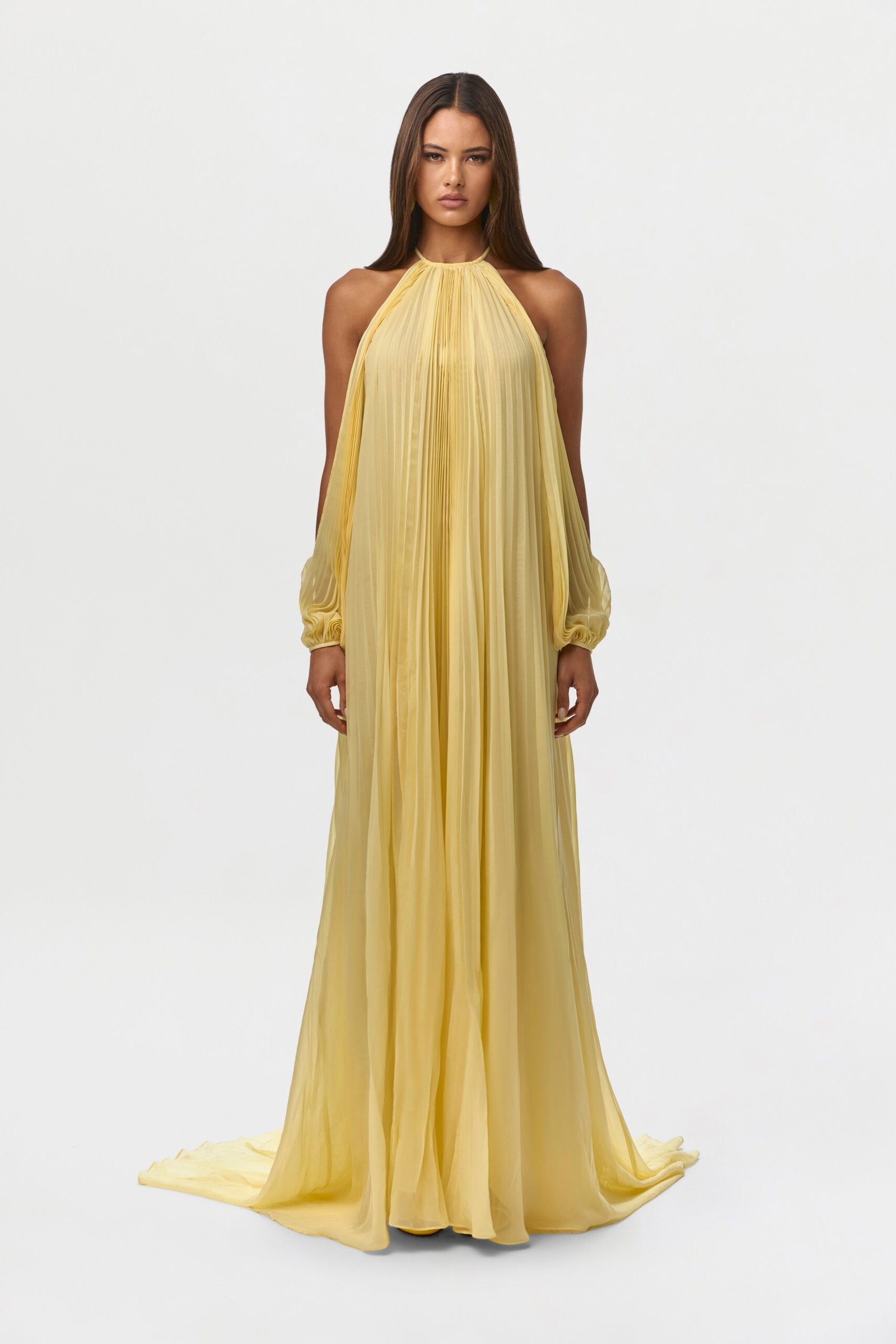 Chiffon Pleated Gown - Image 9