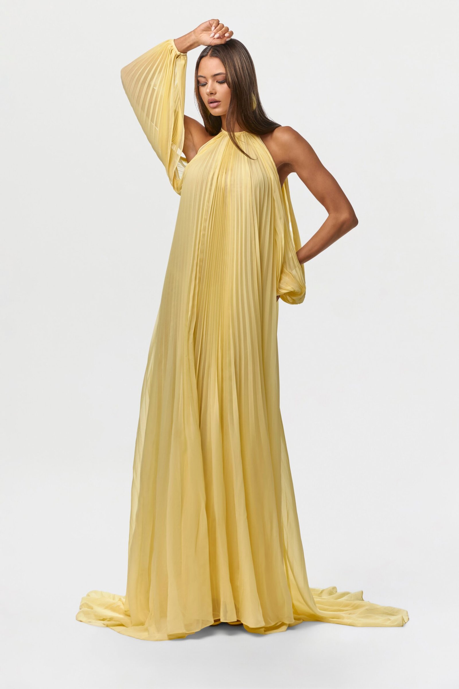 Chiffon Pleated Gown - Image 10